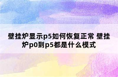 壁挂炉显示p5如何恢复正常 壁挂炉p0到p5都是什么模式